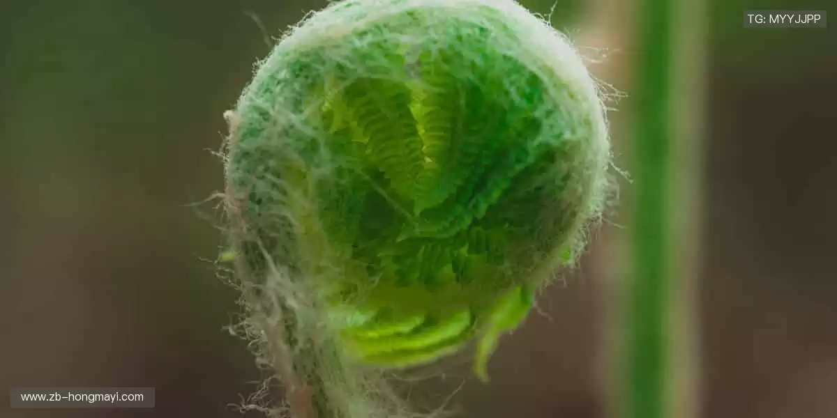 每一次挥汗如雨，都是为了更闪耀的登场！✨